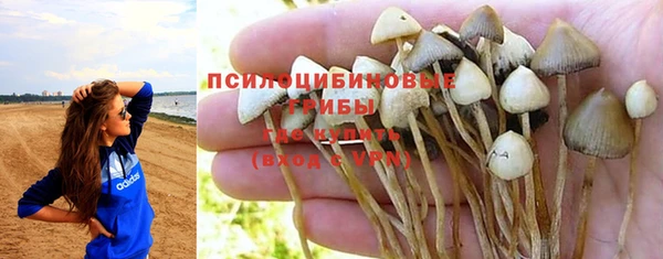 гидропоника Мегион