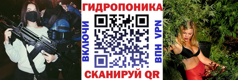Каннабис гибрид  Щёлково 